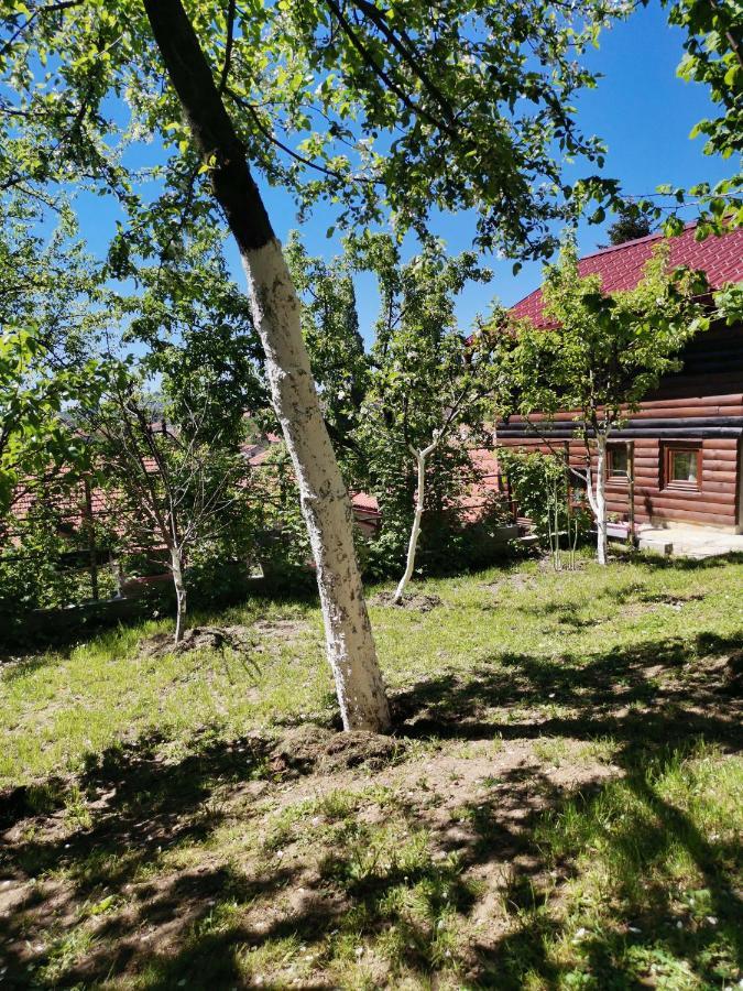 Apartments Natural And Bungalows Sarajevo Exterior photo